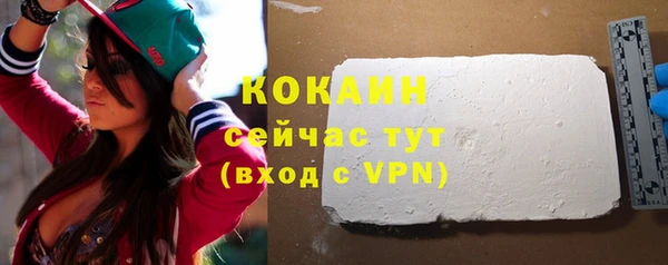 шишки Касимов