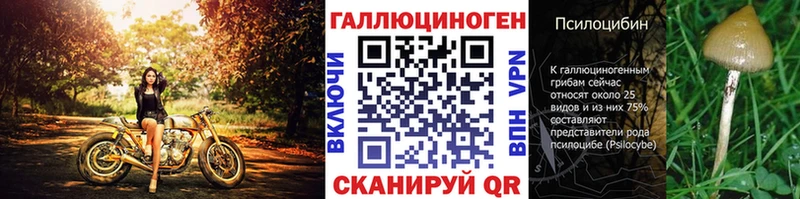 Купить где  Ирбит  Галлюциногенные грибы мухоморы 